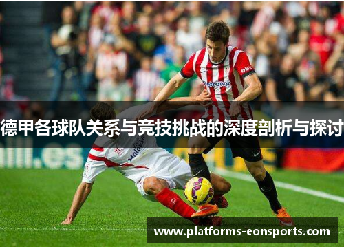 德甲各球队关系与竞技挑战的深度剖析与探讨
