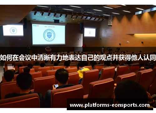 如何在会议中清晰有力地表达自己的观点并获得他人认同