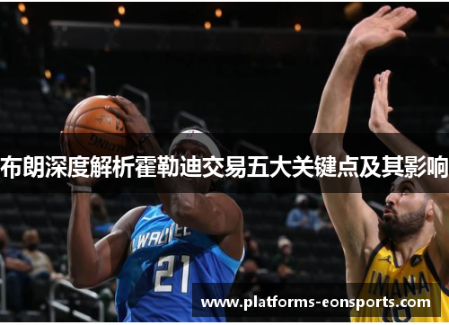 布朗深度解析霍勒迪交易五大关键点及其影响