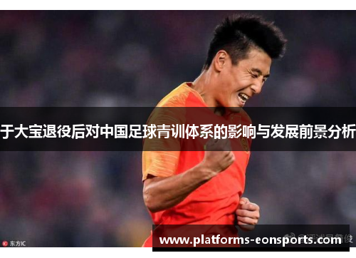 于大宝退役后对中国足球青训体系的影响与发展前景分析