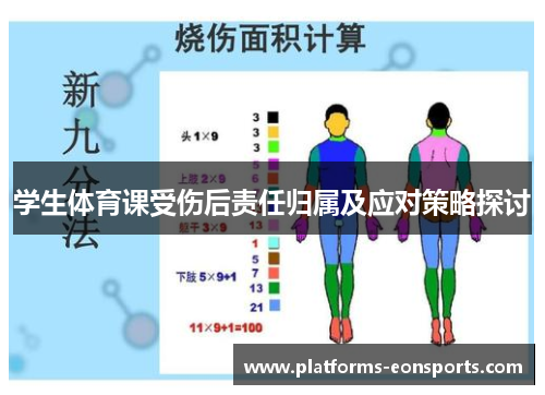 学生体育课受伤后责任归属及应对策略探讨