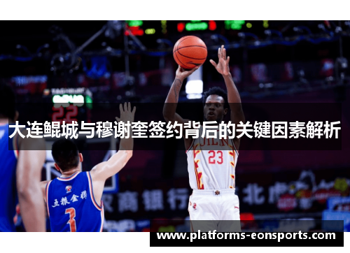 大连鲲城与穆谢奎签约背后的关键因素解析