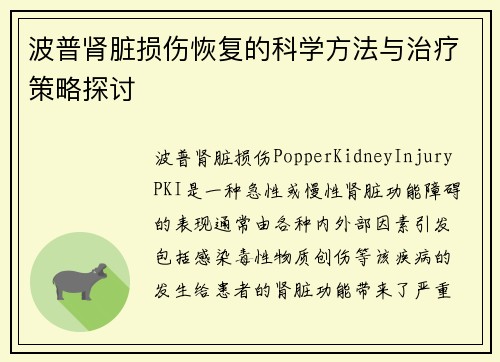 波普肾脏损伤恢复的科学方法与治疗策略探讨