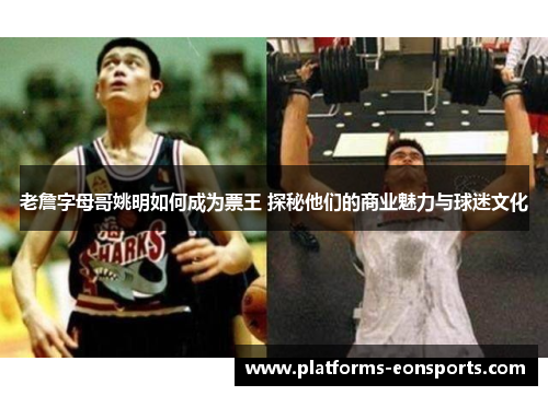 老詹字母哥姚明如何成为票王 探秘他们的商业魅力与球迷文化
