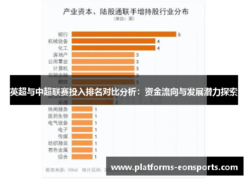 英超与中超联赛投入排名对比分析：资金流向与发展潜力探索
