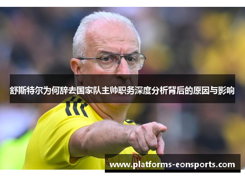 舒斯特尔为何辞去国家队主帅职务深度分析背后的原因与影响