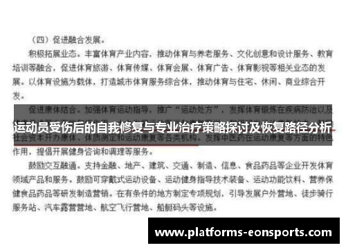 运动员受伤后的自我修复与专业治疗策略探讨及恢复路径分析