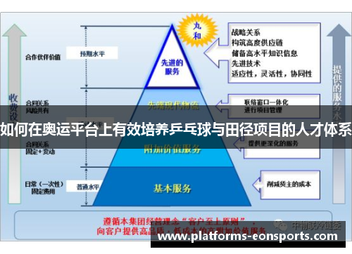 如何在奥运平台上有效培养乒乓球与田径项目的人才体系